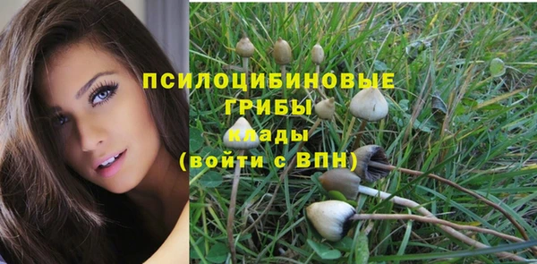 трава Балахна